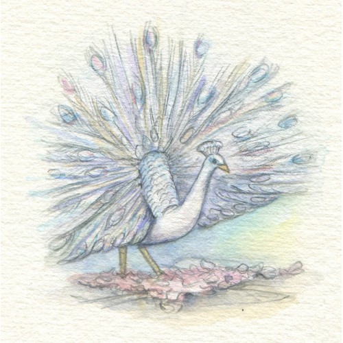Miniature Painting - Peacock  						